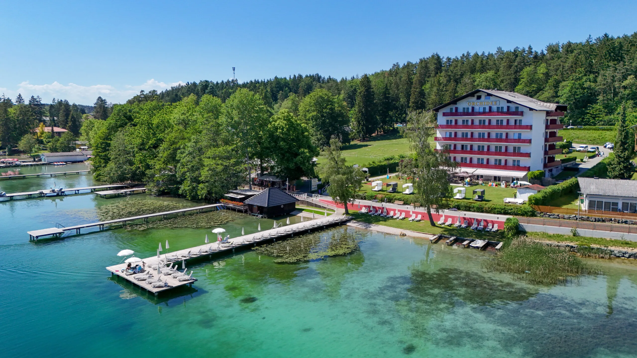 Hotel Orchidee