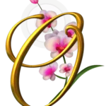 Logo Strandhotel Orchidee transparent