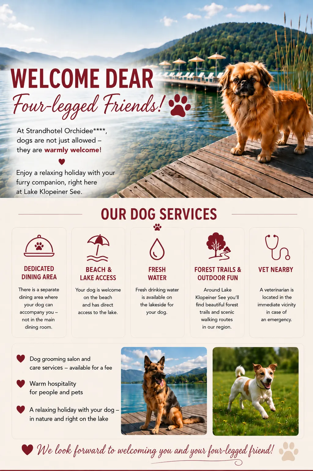 Dogs welcome Hotel Orchidee