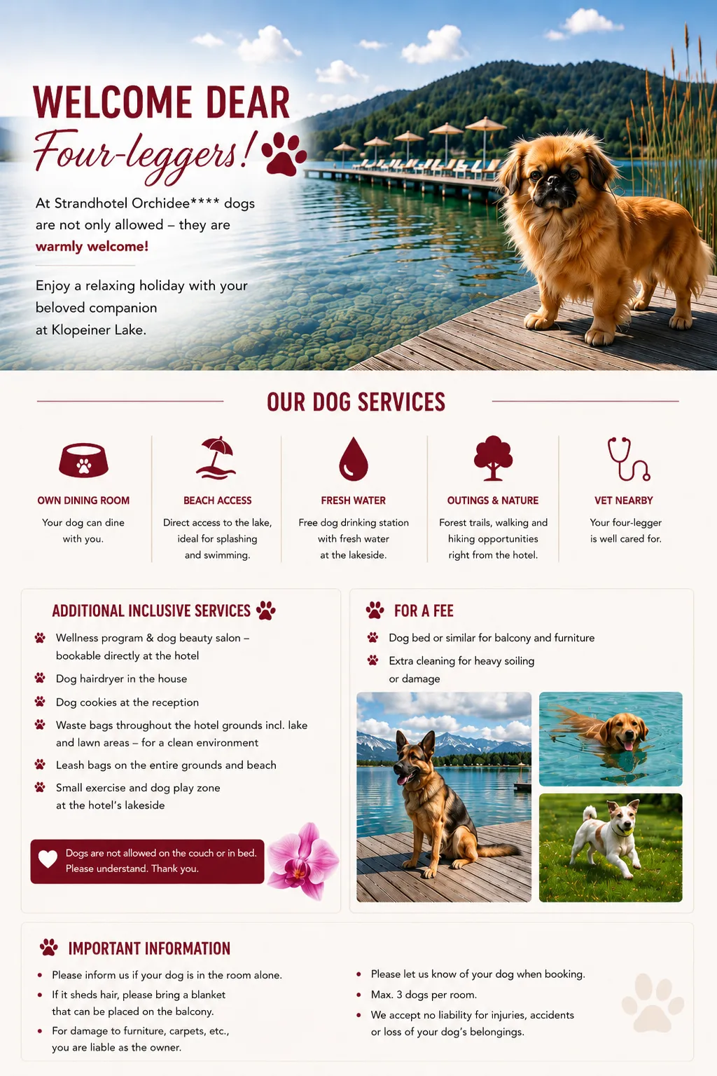Dog-friendly hotel at Lake Klopeiner See