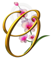 1.Superlogo Orchidee transparent 1.Superlogo Orchidee transparent