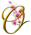 Logo Strandhotel Orchidee transparent